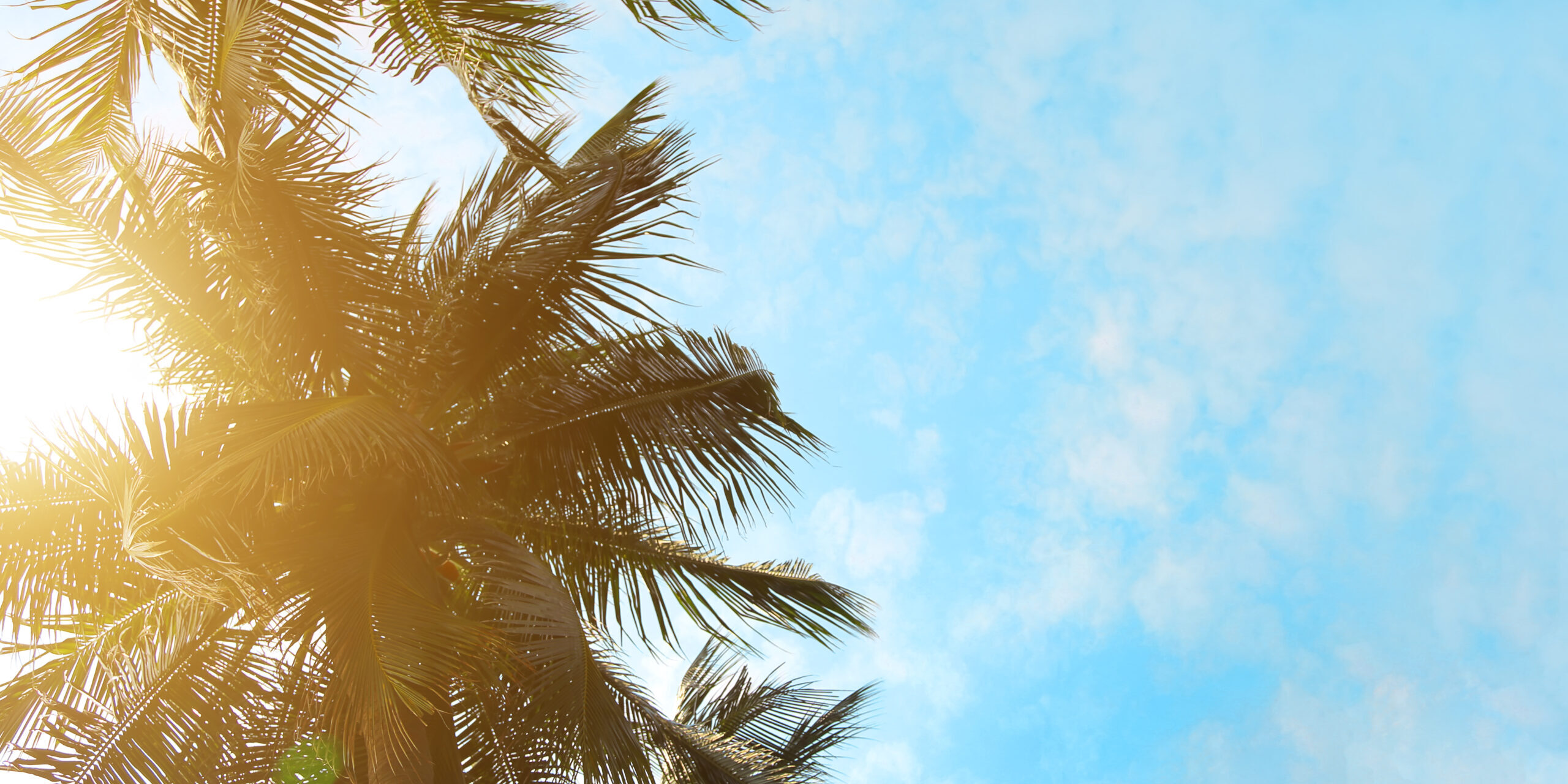 The end of 60 days extension before opening country