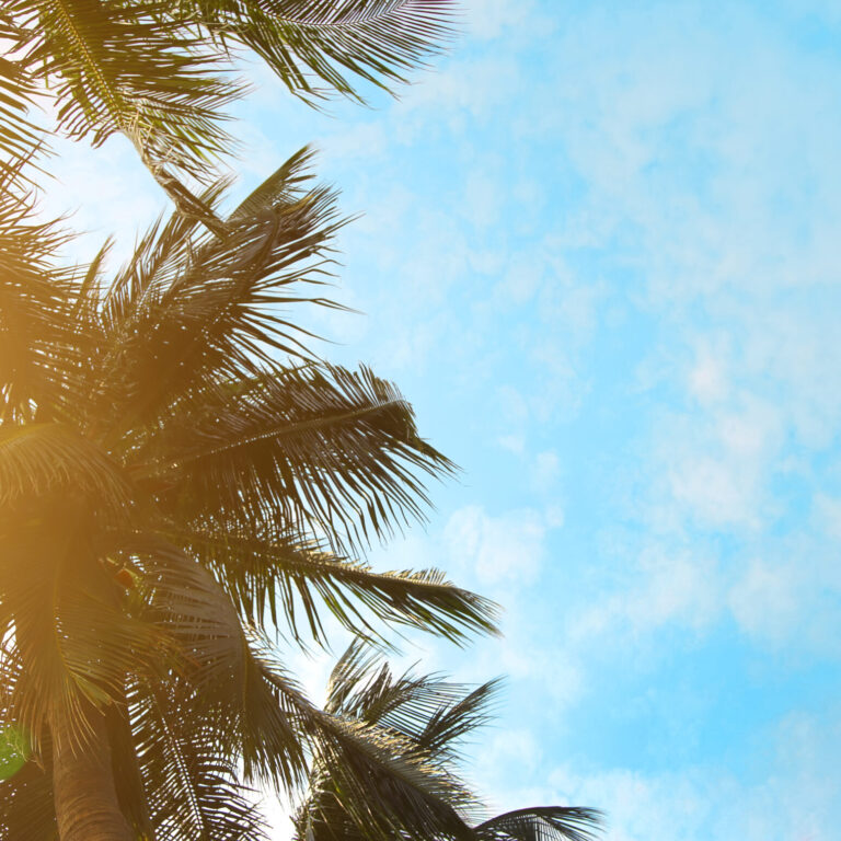 The end of 60 days extension before opening country